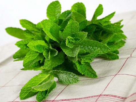 La Boite à Herbes - Menthe Fraîche - Sachet 200g