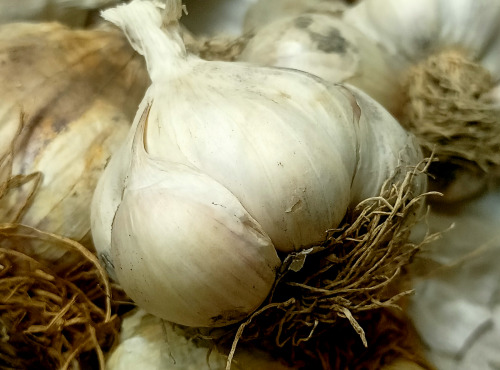 Ferme Joos - Ail - 1kg