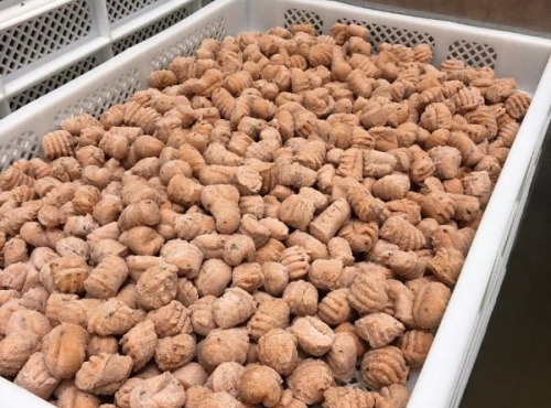 Lioravi, l'authentique pâte fraîche ! - [Précommande] Gnocchis Tomate frais - Bio - 1kg
