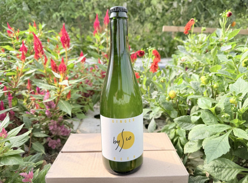 Nature et Saveurs - Ferme Aquaponique et Permacole Astérienne - Kombucha Ginger Beer Bio Bysco - 75cl