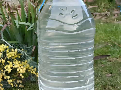 Rébecca les Jolies Fleurs - Grande cure de Sève de Bouleau 5L