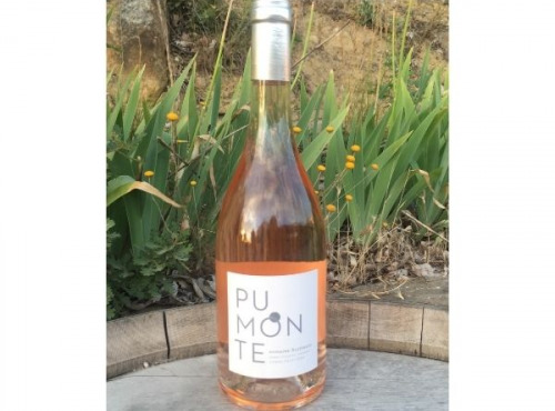 Depuis des Lustres - Comptoir Corse - Calvi Pumonte - Domaine Alzipratu - rosé