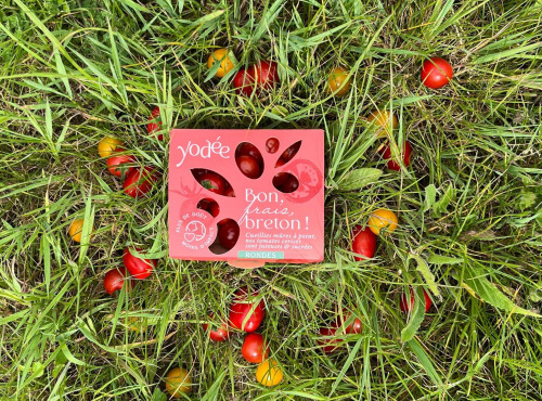 Agriloops - Tomates Cerises Rondes 250g
