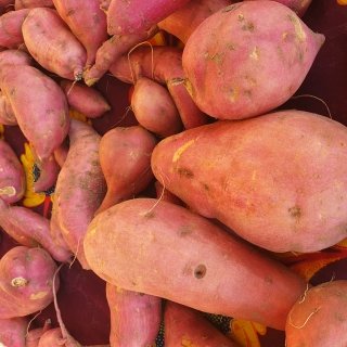 La Ferme de Milly - Anjou - Patates douces 10kg