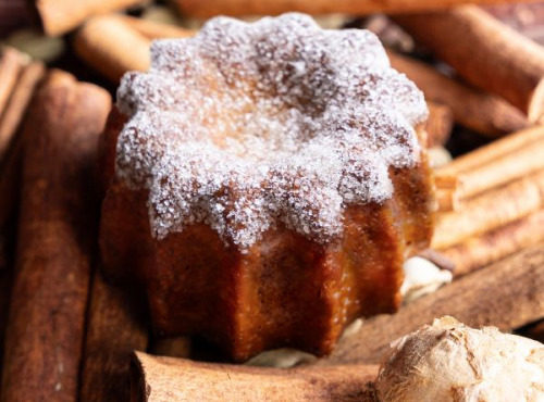Canelés Louis SCHRAMM - Petits canelés Epices de Noël x400