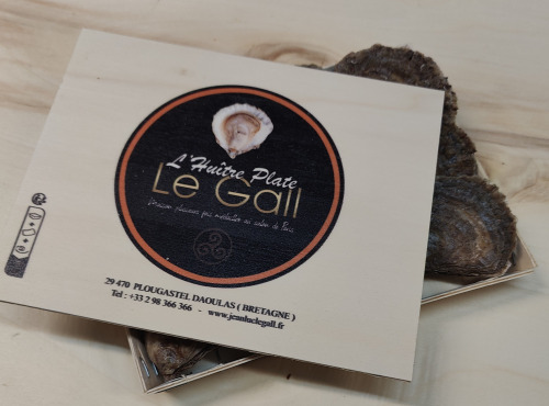 Jean Luc Le Gall Huîtres et Coquillages - Huitres Plates Très Grosses x 12 Pièces