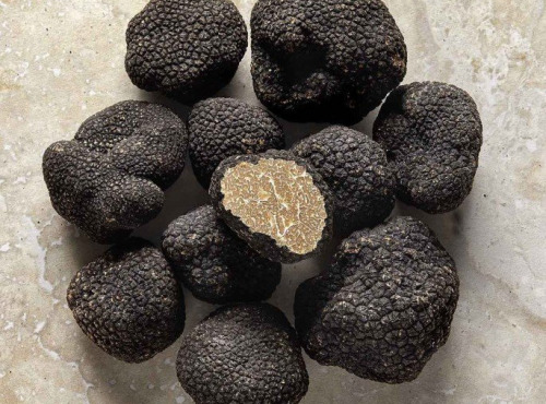 Plantin - L'art de la truffe depuis 1930 - Truffes d'été fraîches entières