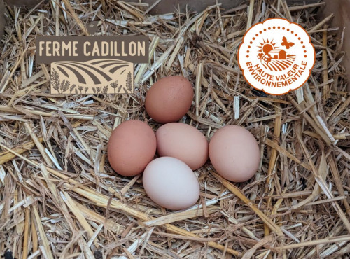 Ferme Cadillon - Oeufs fermiers par 12