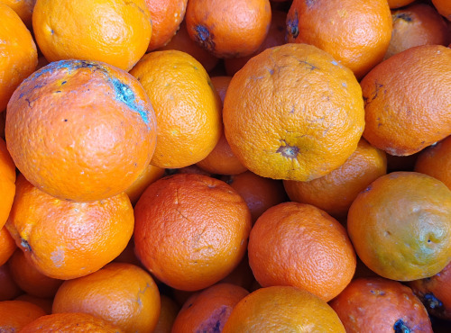 LES VERGERS DE BRAVONE - ANTI GASPI - Oranges amères tachées 10KG