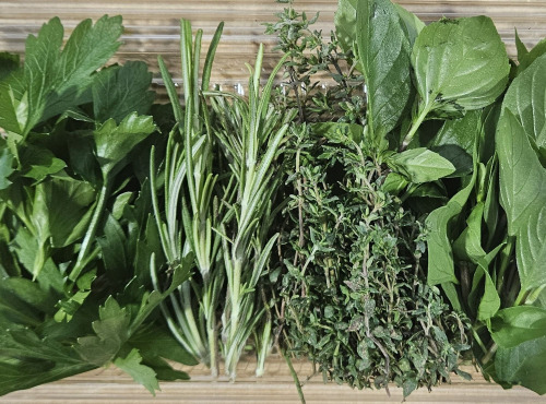 Midiflore - Aromates fraiches pour Cuisine Méditerranéenne 40g