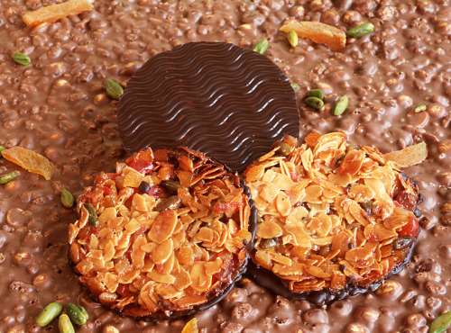 Philippe Segond MOF Pâtissier-Confiseur - Florentins Au Chocolat Noir