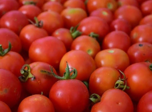 Nature et Saveurs - Ferme Aquaponique et Permacole Astérienne - Tomate cerise rouge - 250g