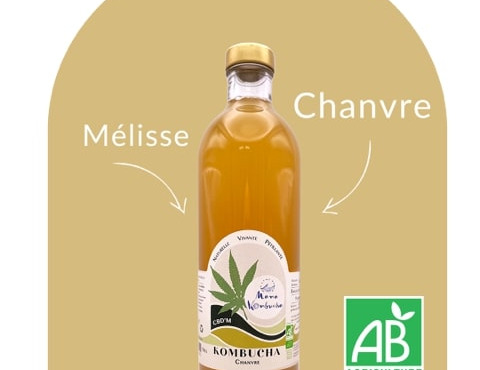 Mama Kombucha - Kombucha Chanvre, Mélisse - CBD'M