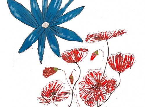 Rébecca les Jolies Fleurs - offre s