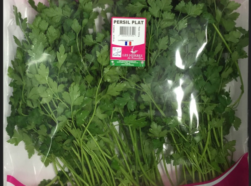Les Herbes du Roussillon - Persil Plat Frais - 500g