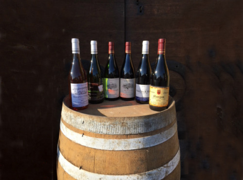 Domaine Christophe et Daniel Rampon - Coffret Découverte Des Vins Du Beaujolais 6x75cl