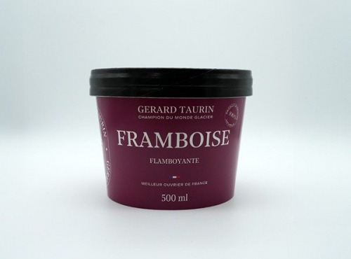 GT Designer Glacier - Sorbet Framboise flambloyante 500ml