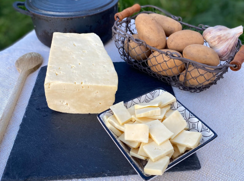 L’Echo Paysan - Tome fraîche fermière au lait cru - 500g
