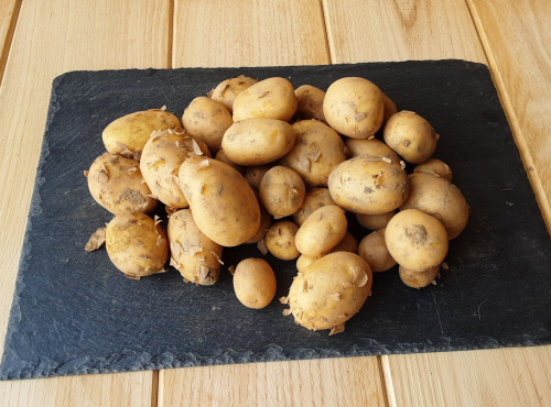 Gourmets de l'Ouest - Grillades 6 personnes porc fermier + pommes de terre de Saint-Malo