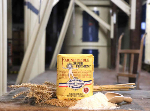 Moulins de Versailles - Farine De Blé Super Froment - 1kg