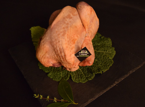 La Ferme des Peupliers - Pintade fermière 1.80 kg