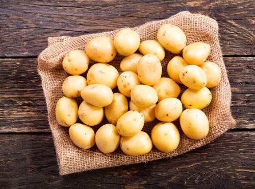 Nature et Saveurs - Ferme Aquaponique et Permacole Astérienne - Pomme de Terre Nouvelle