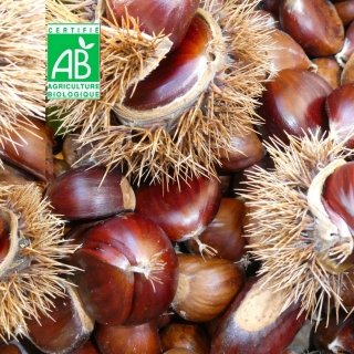 Terres EnVie - Châtaignes Fraiches Bio 10 kg
