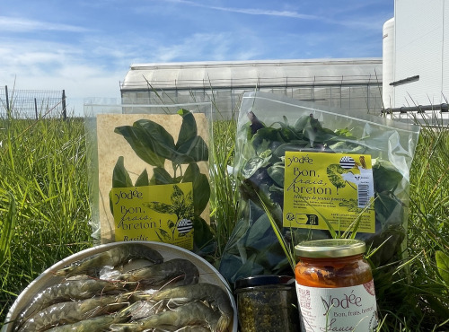 Agriloops - Panier Découverte Agriloops