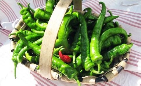 Elissalde Le Potager Basque - Piments Elissalde Basque Ultra-doux 100% Naturel 150 g