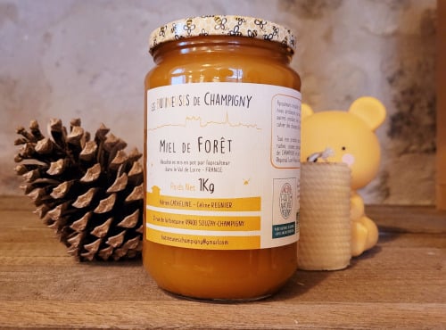 Les Butineuses de Champigny - Miel de Forêt BIO - 1000g