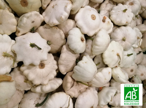 Le Châtaignier - Courge Pâtisson Blanche Bio - 1 Kg