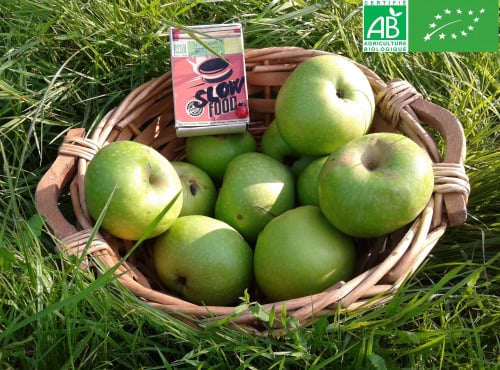 LES JARDINS DE KARINE - Pommes vertes - 1kg