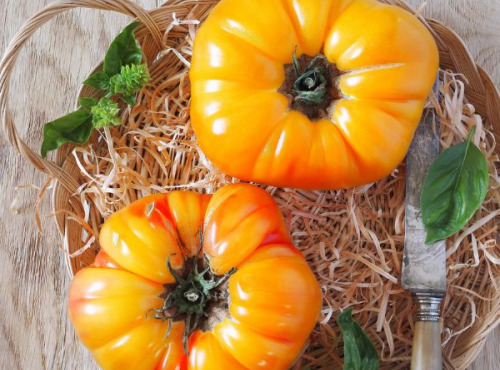 Les Champs Paradis - Tomate ananas 1kg
