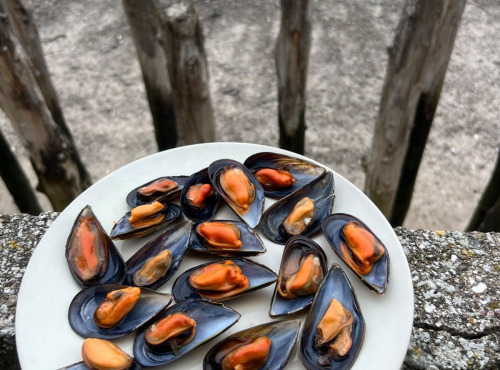 Saint Kerber - Cancale - Moules Espagne en barquette 1.4kgs