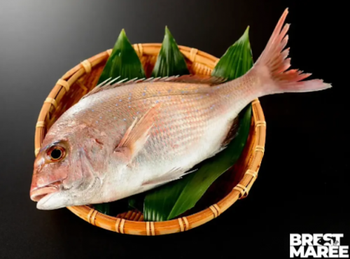 Brest Marée - Dorade Rose - 500g