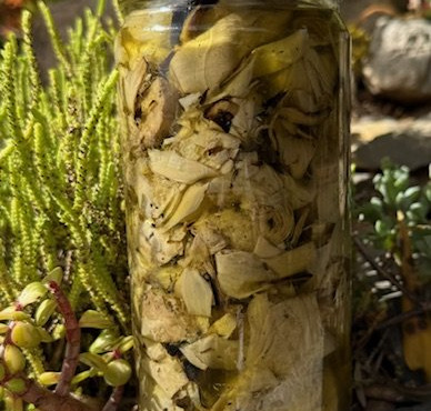 L’Oliveraie du Coudon - Quart d'artichaut grillé 600gr