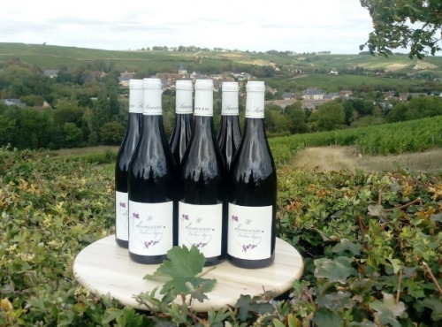 Domaine Doudeau-Leger - Sancerre Rouge AOC 2022 - 6 Bouteilles