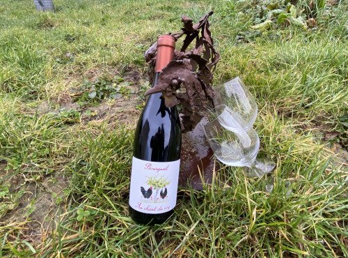 Des Poules et des Vignes à Bourgueil - Offre pro - Bourgueil AOC rouge - Au Chant du Coq 2024