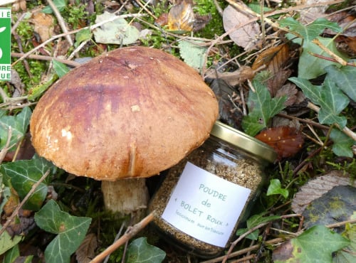 Terres EnVie - Champignon Bio - Bolet Orangé Des Chênes En Poudre