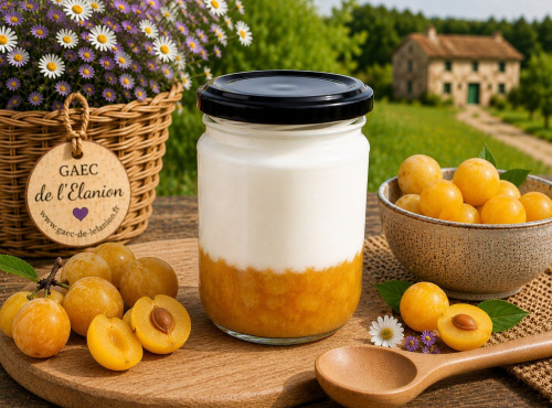 Gaec de l'Elanion - Fromage Blanc Confiture Mirabelle 130g