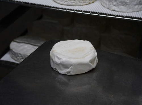 Alléosse Maitre Artisan Affineur Fromager - Camembert Di Buffala