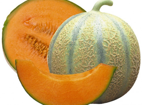 Les Jardins de Mondpa - lot de 3 melons