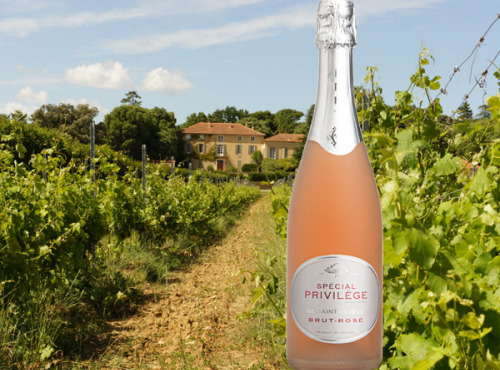 Château Saint Estève d'Uchaux - Méthode Traditionnelle IGP Méditerranée Brut Rosé BIO Spécial Privilège de St Estève