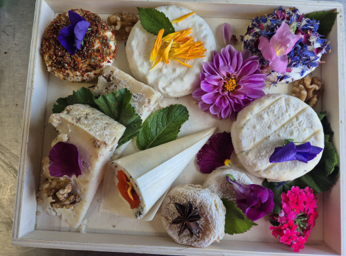Gaec de l'Elanion - plateau fromages 6/8 personnes