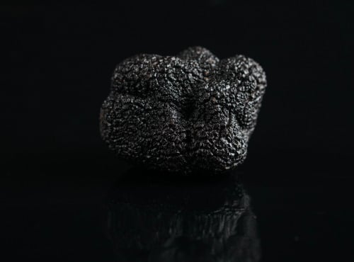 ALENA la Truffe d'Aquitaine - Truffe Noire Du Périgord Fraiche Tuber Melanosporum  Morceau  - 100g