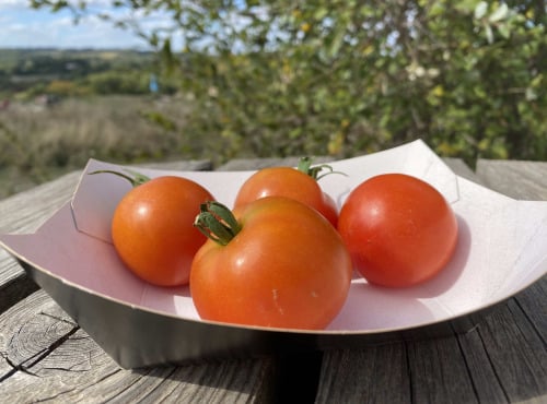 Ferme Sinsac - Tomate Sieger rouge en barquette de 1kg
