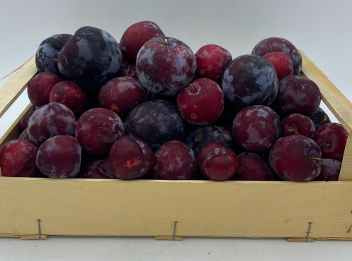 Le Panier du Producteur - Prune "Rouge"