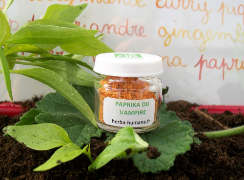 HERBA HUMANA - Paprika du Vampire Bio Cultivé en France 5 g