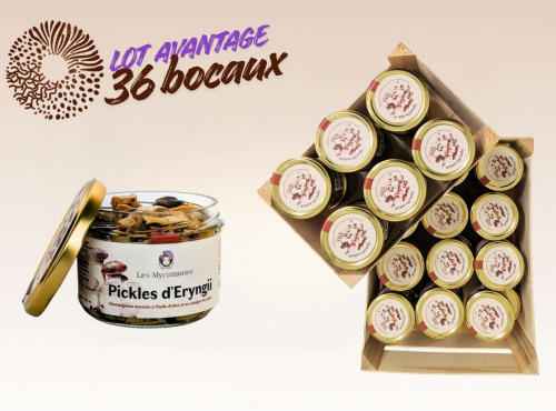 Les Myconautes - Lot 36 bocaux Pickles de pleurotes eryngii