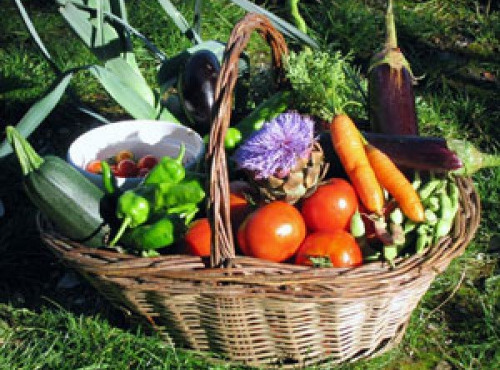 Les Jardins de Mondpa - Panier de légumes de saison